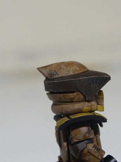 Geonosis ARF Trooper Custom Minifigure
